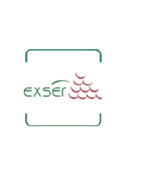 logo de axer